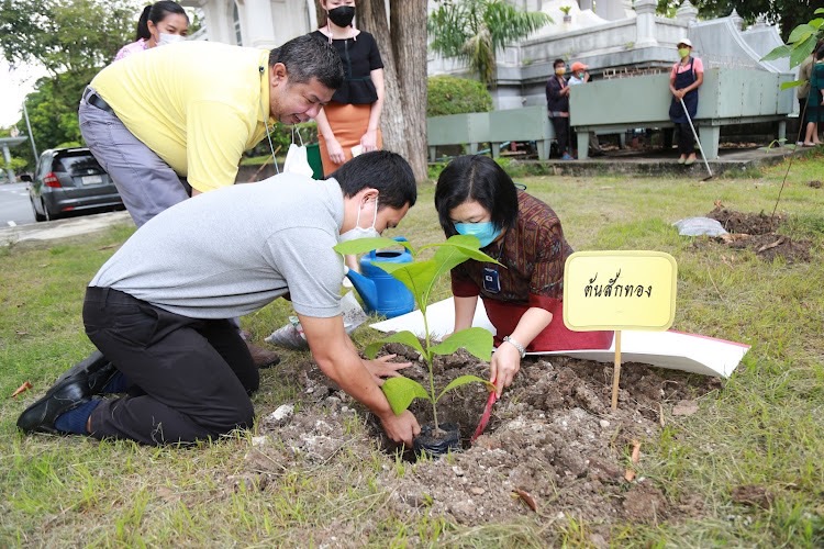 โครงการ/กิจกรรม