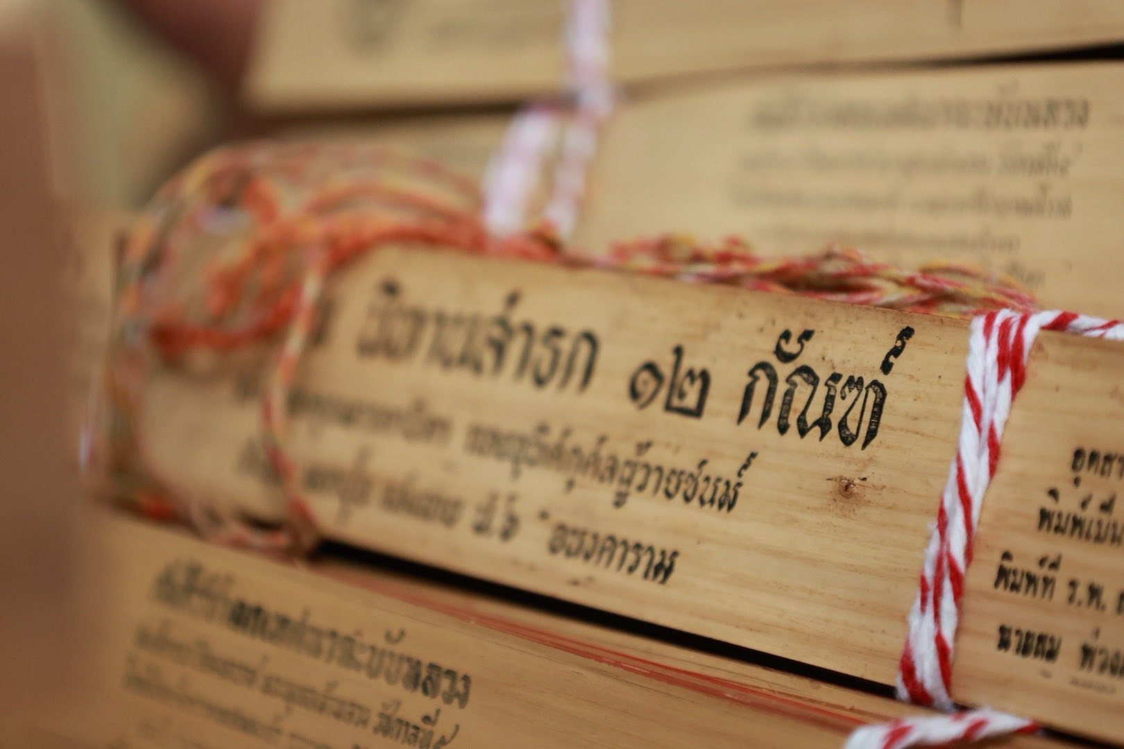 โครงการ/กิจกรรม