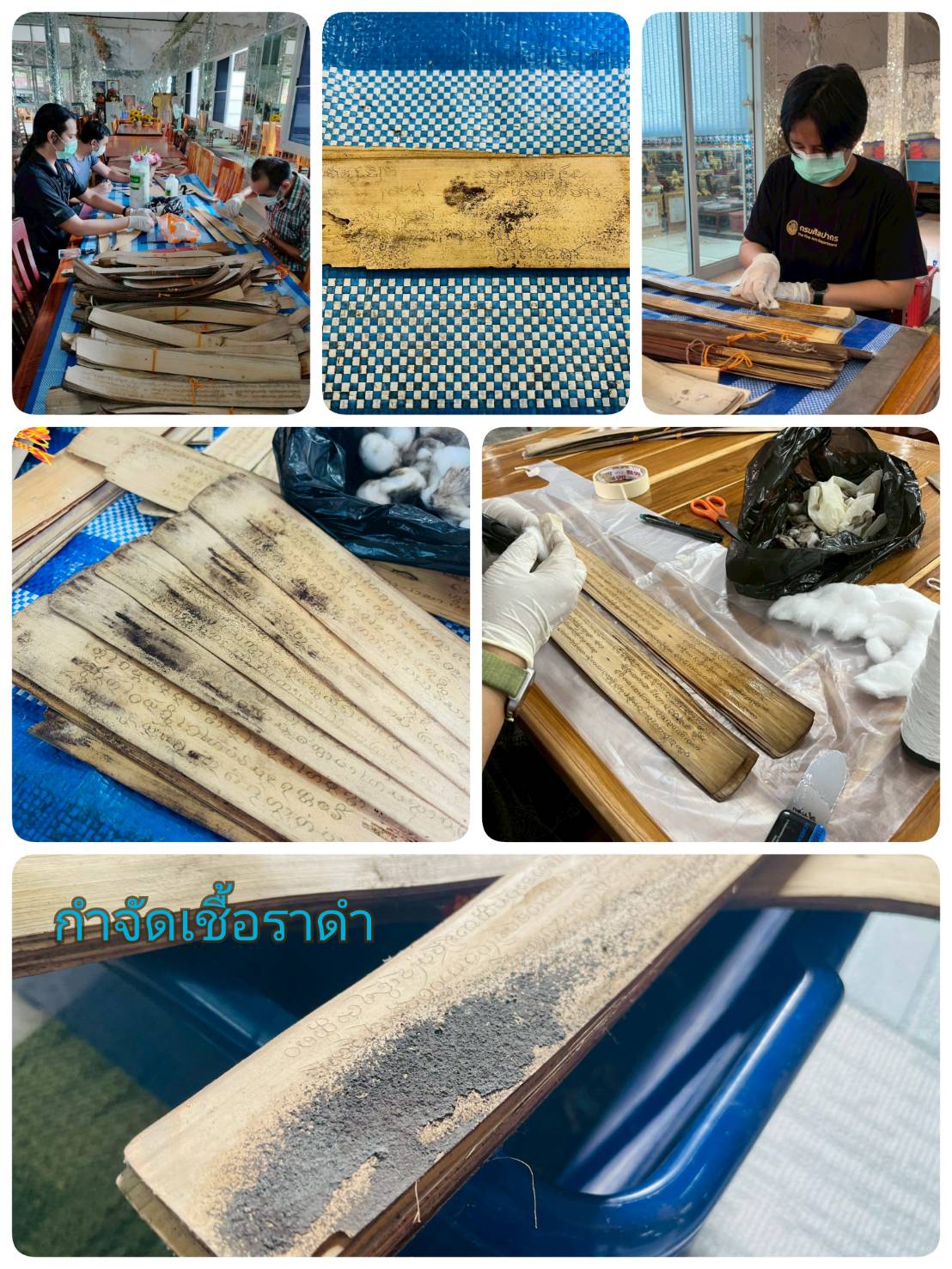 โครงการ/กิจกรรม