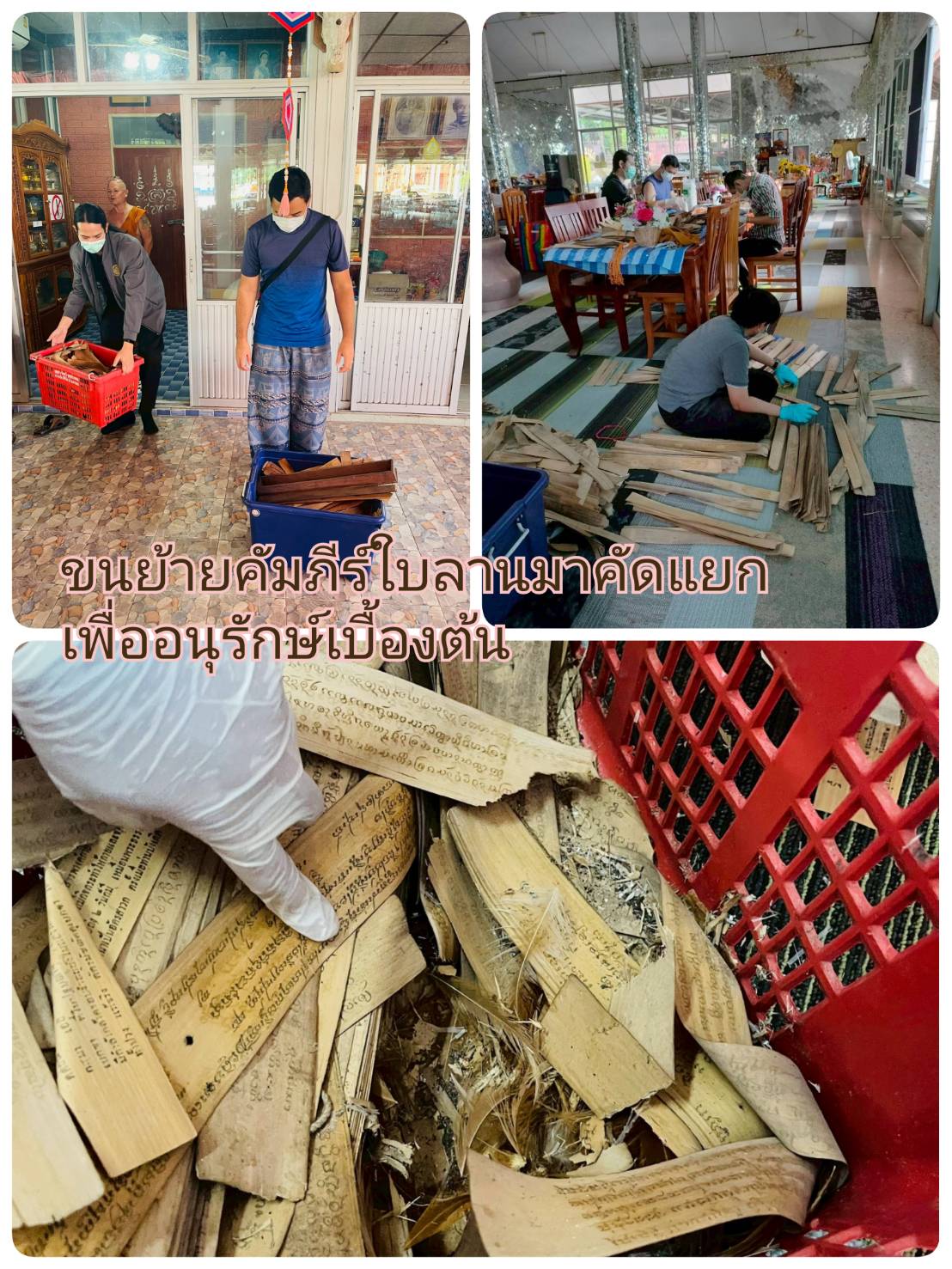 โครงการ/กิจกรรม
