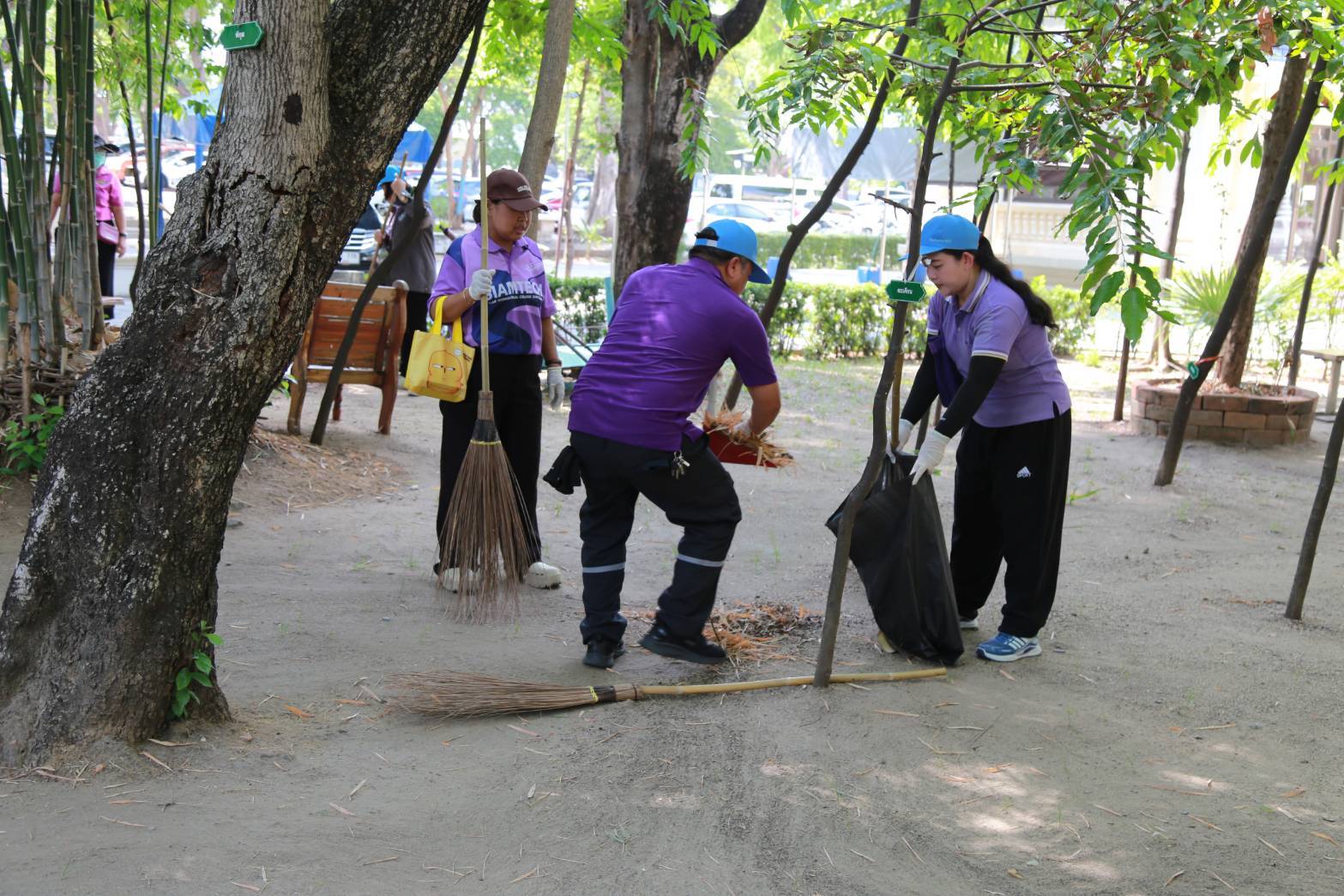 โครงการ/กิจกรรม