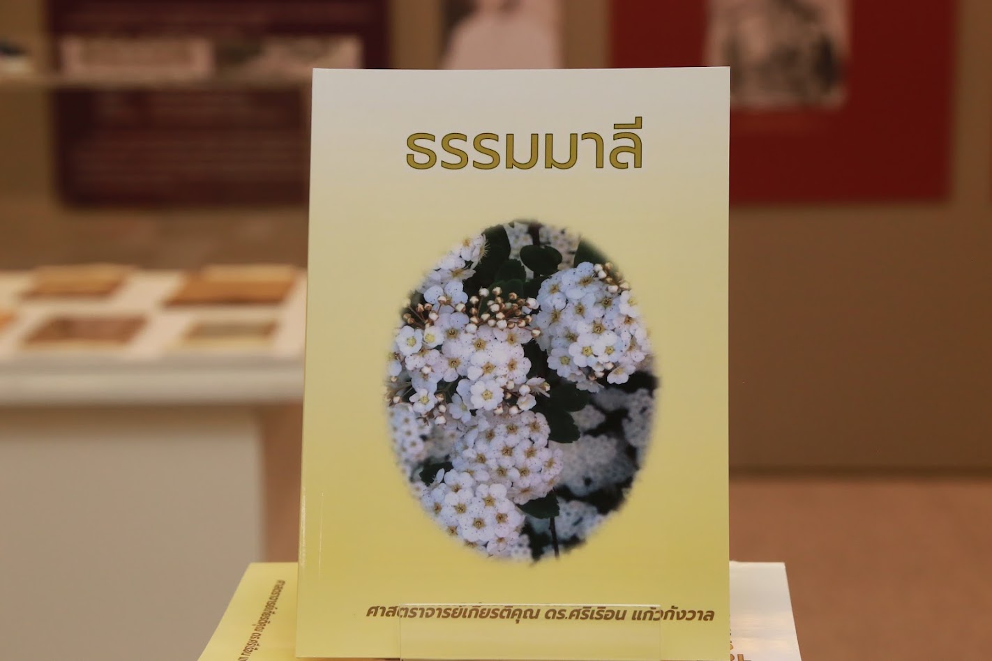 โครงการ/กิจกรรม