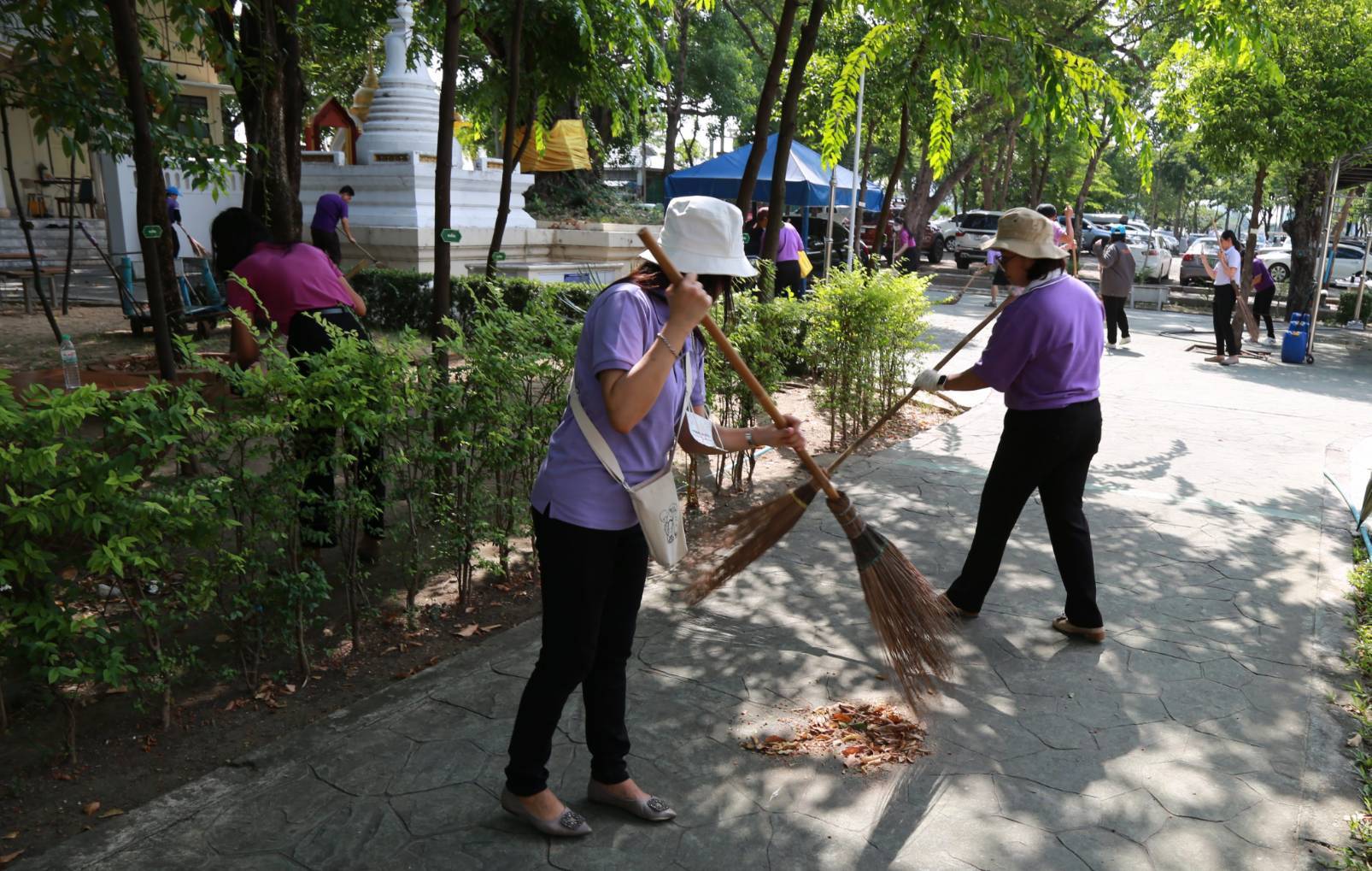 โครงการ/กิจกรรม