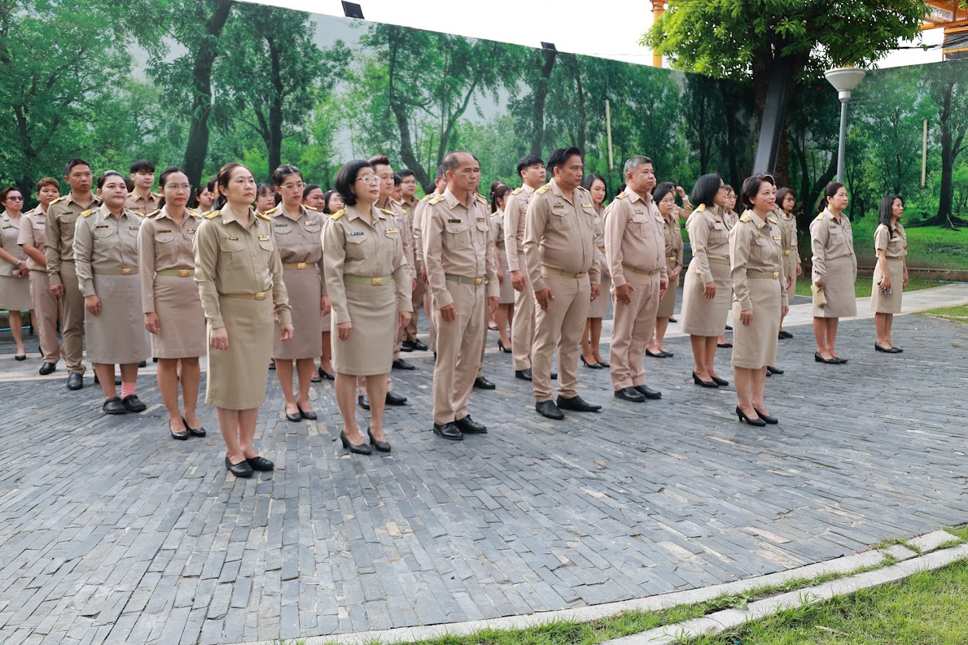 โครงการ/กิจกรรม