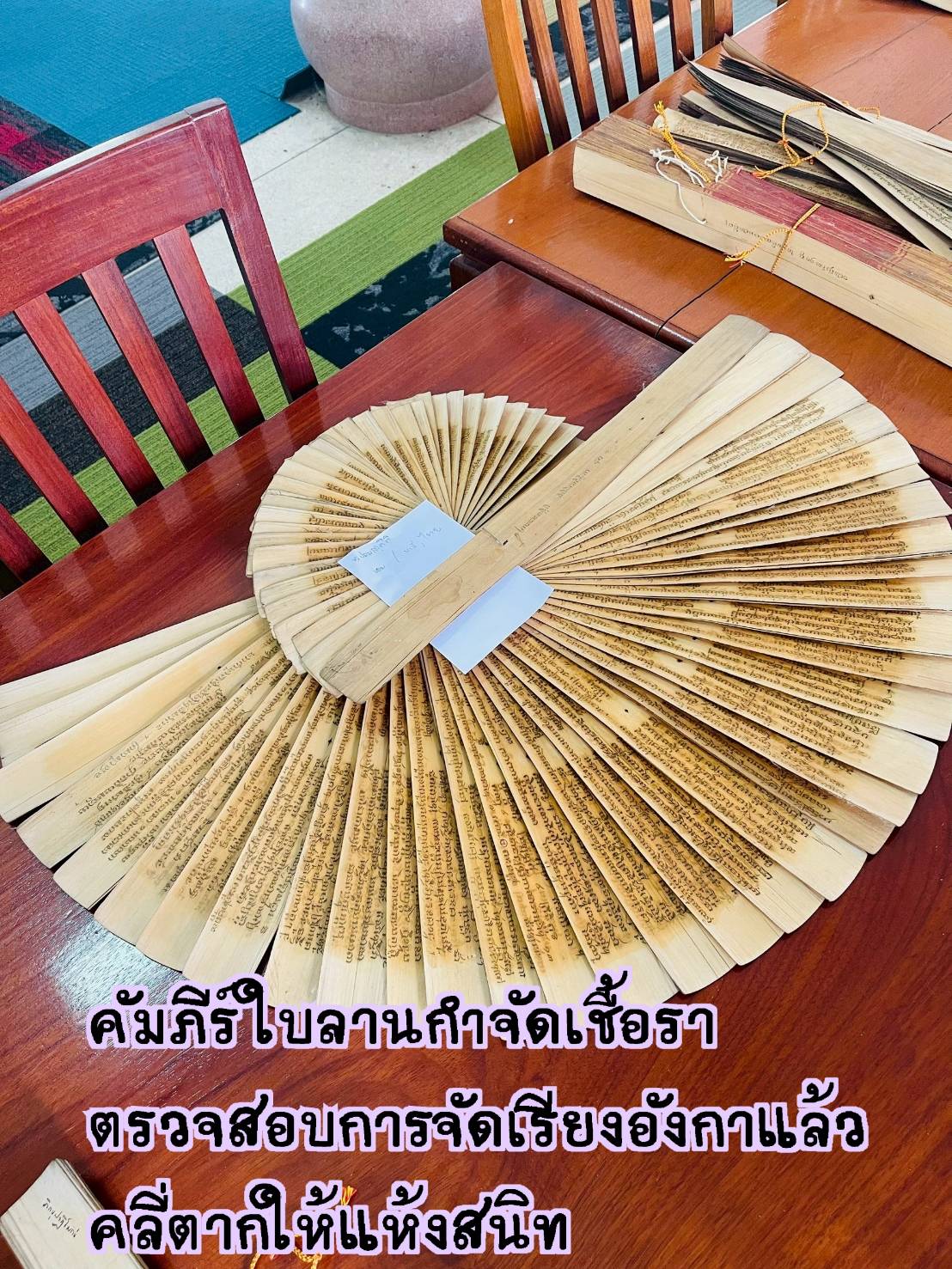 โครงการ/กิจกรรม