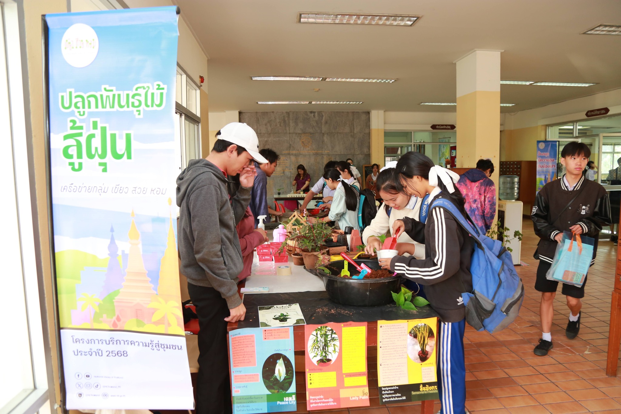 โครงการ/กิจกรรม