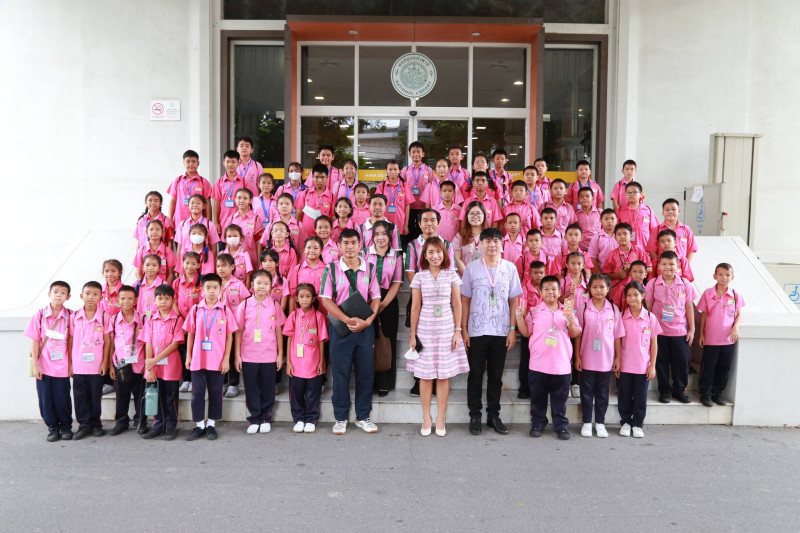 ภาพตัวอย่าง
