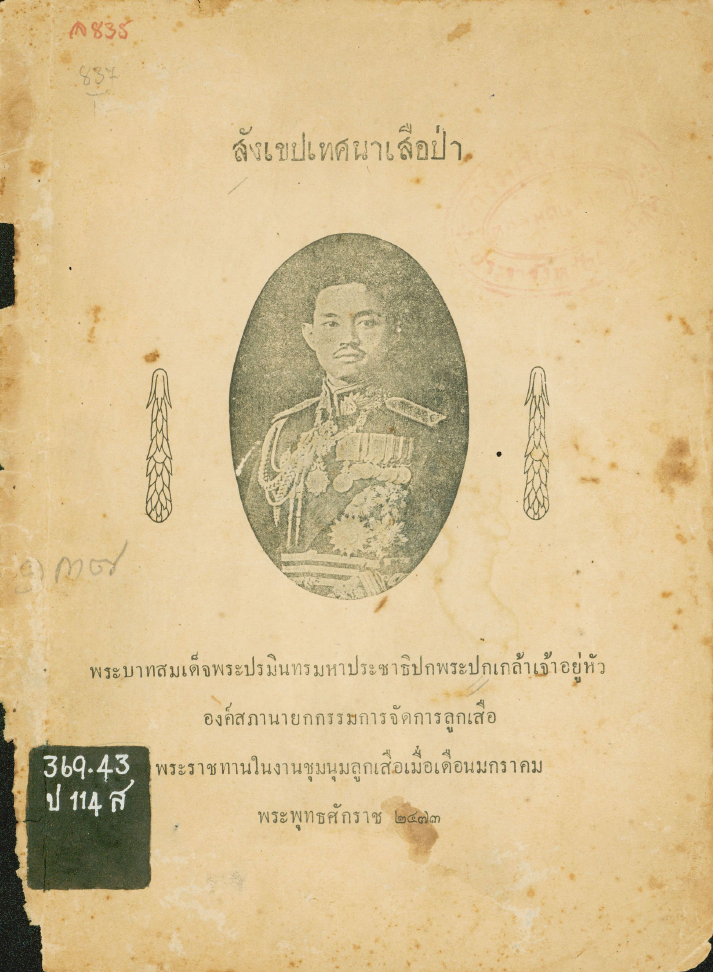 ภาพตัวอย่าง